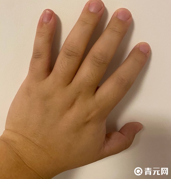 微博奇观之刘全有的手