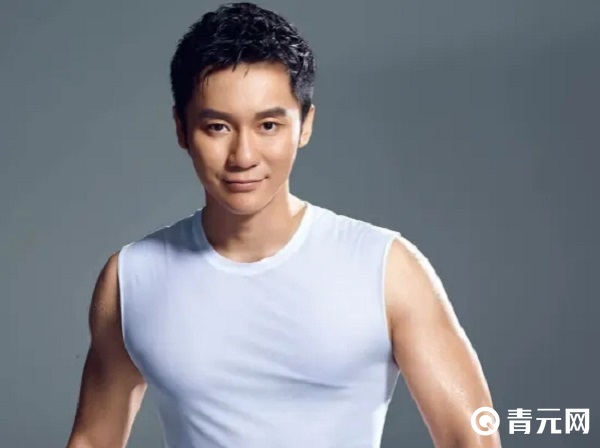 迪丽娜尔与李晨的石头事件