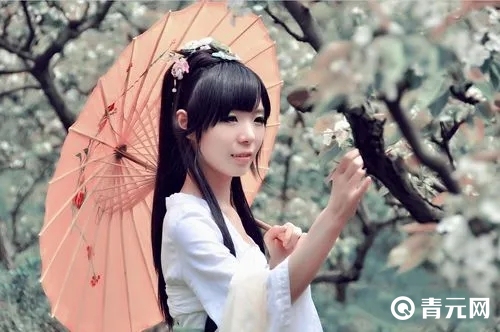 英雄联盟主持小楼
