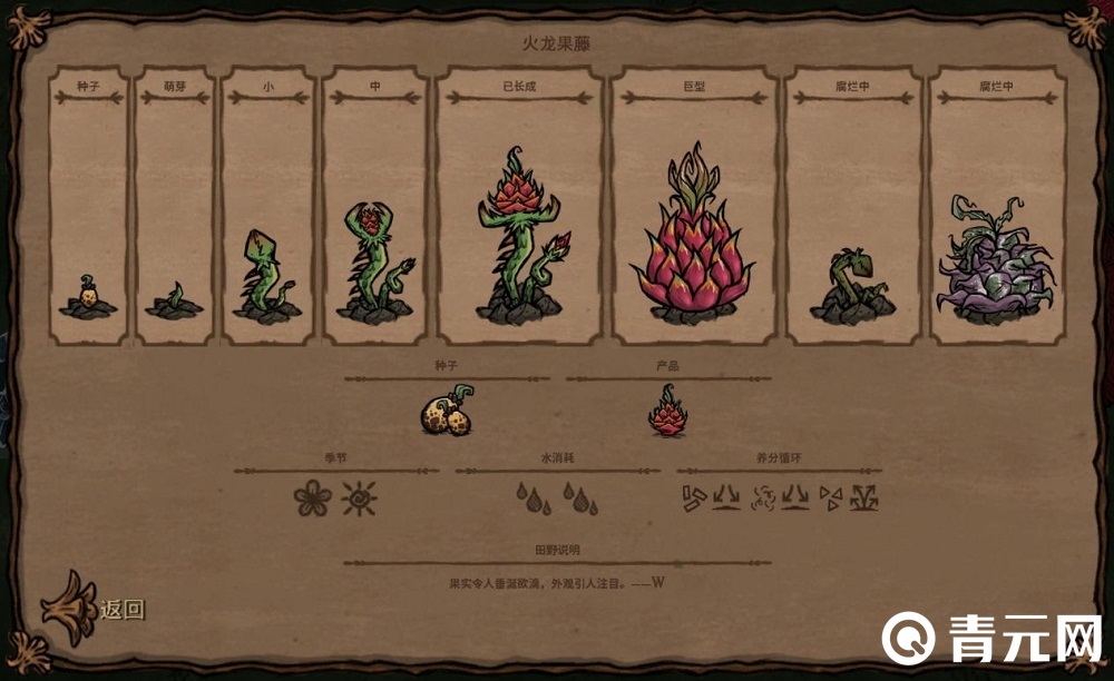 饥荒火龙果生长过程图