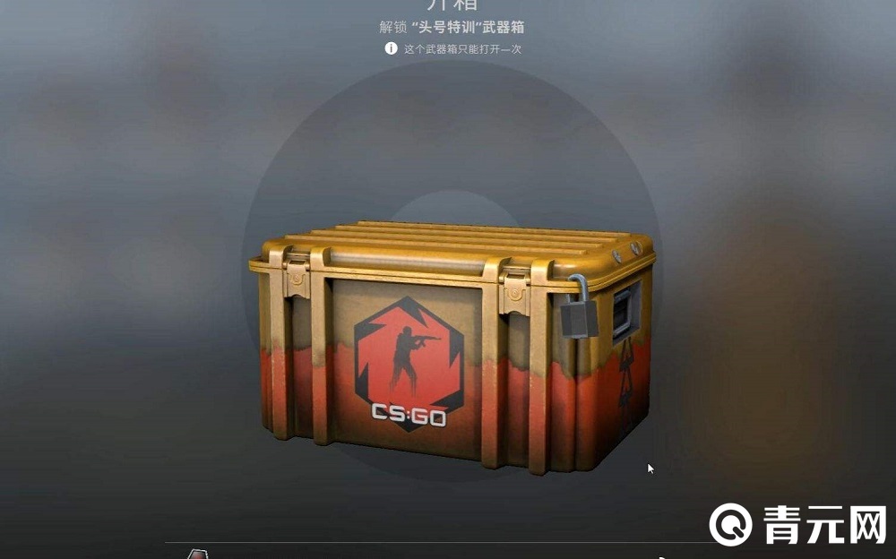 csgo开箱可获得各种道具