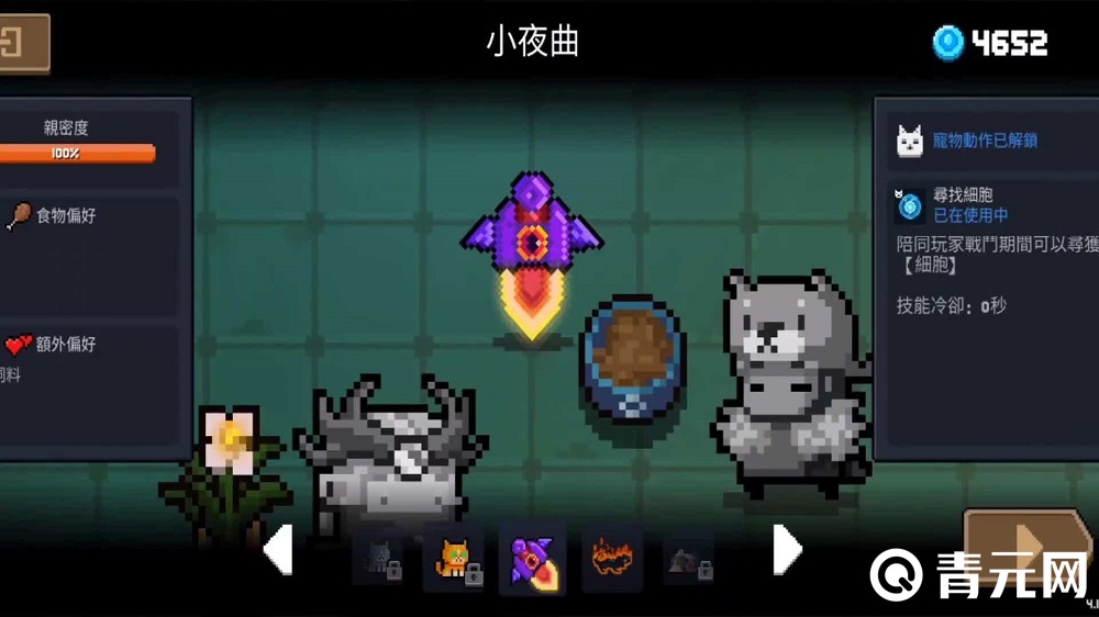元气骑士宠物展示