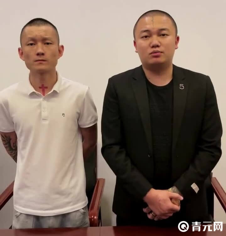 云南达摩个人资料