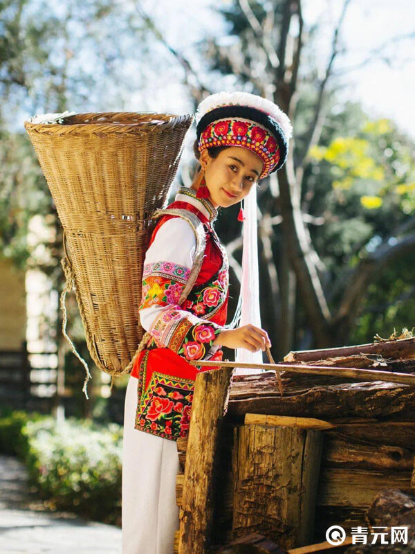 云南小花生活照