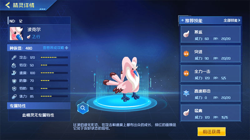 波克尔精灵信息