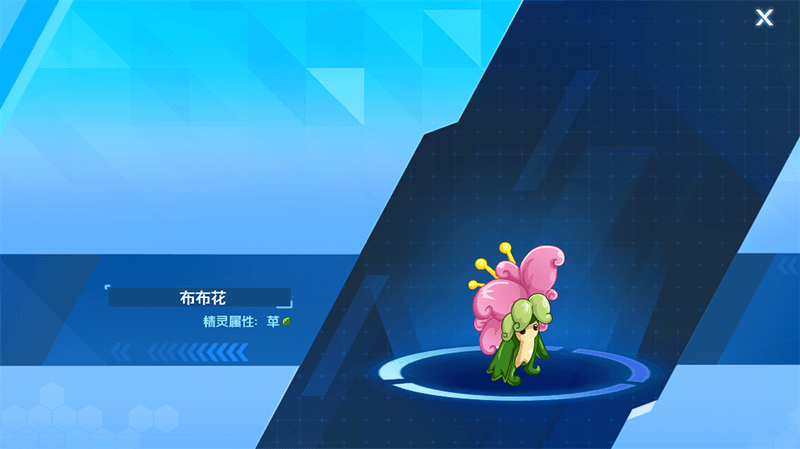 布布花