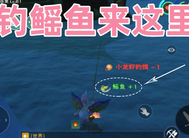 创造与魔法最佳鳐鱼钓点