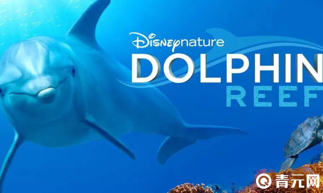 Dolphin模拟器能够导入游戏