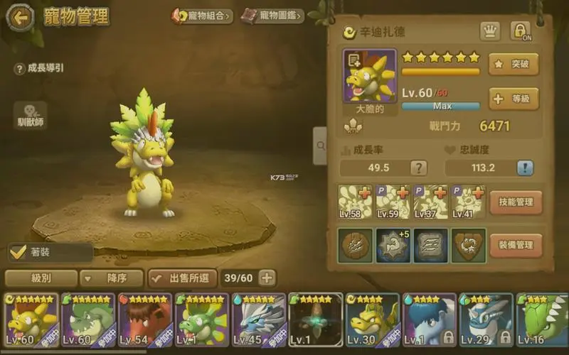 用经验药水培养宠物