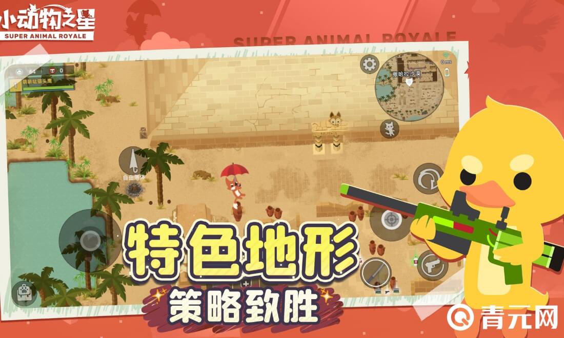 小动物之星
