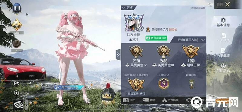 和平精英玩家