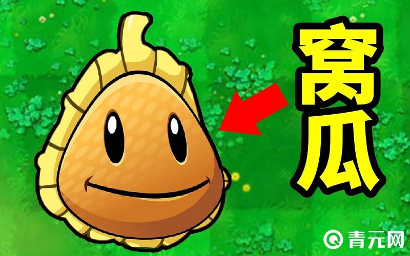 植物大战僵尸大窝瓜