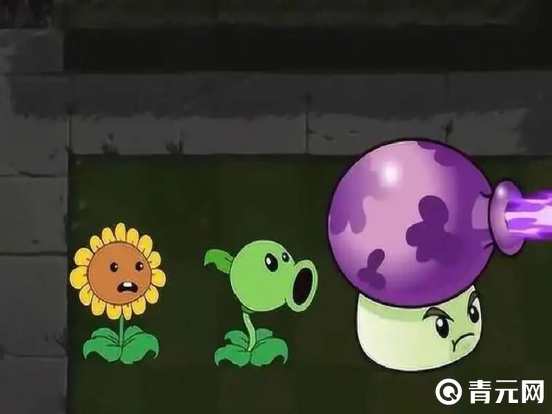 植物大战僵尸喷射蘑菇