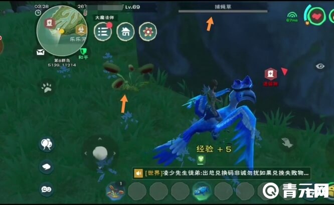 创造与魔法捕蝇草