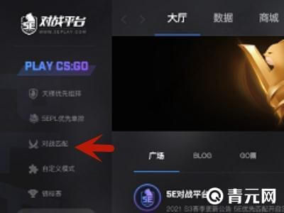 反恐精英5E对战平台