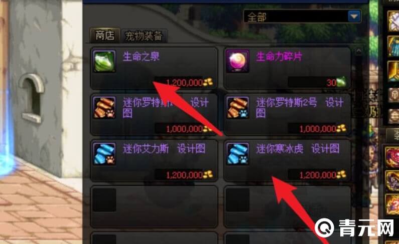 dnf购买生命之泉