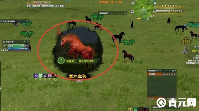 剑网3指尖江湖塞外宝驹