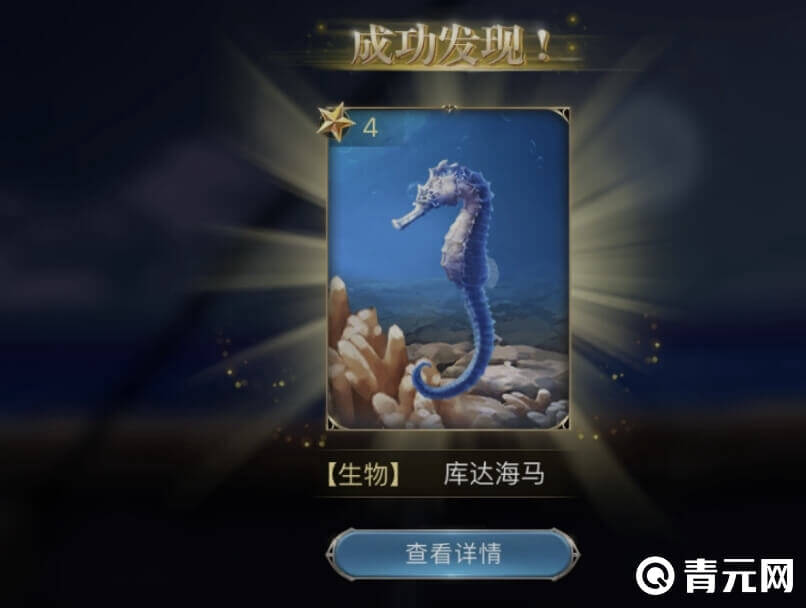 大航海之路库达海马