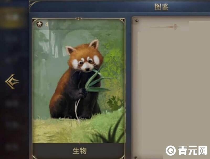 大航海之路小熊猫