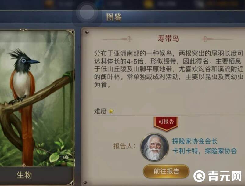 大航海之路寿带鸟
