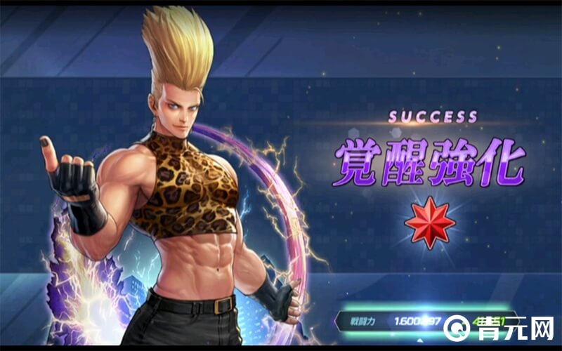 二阶堂红丸觉醒