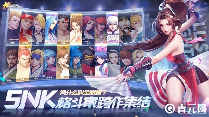 不知火舞最强阵容