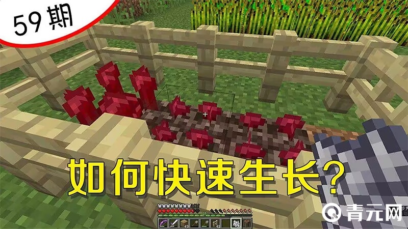 我的世界地狱疣快速生长