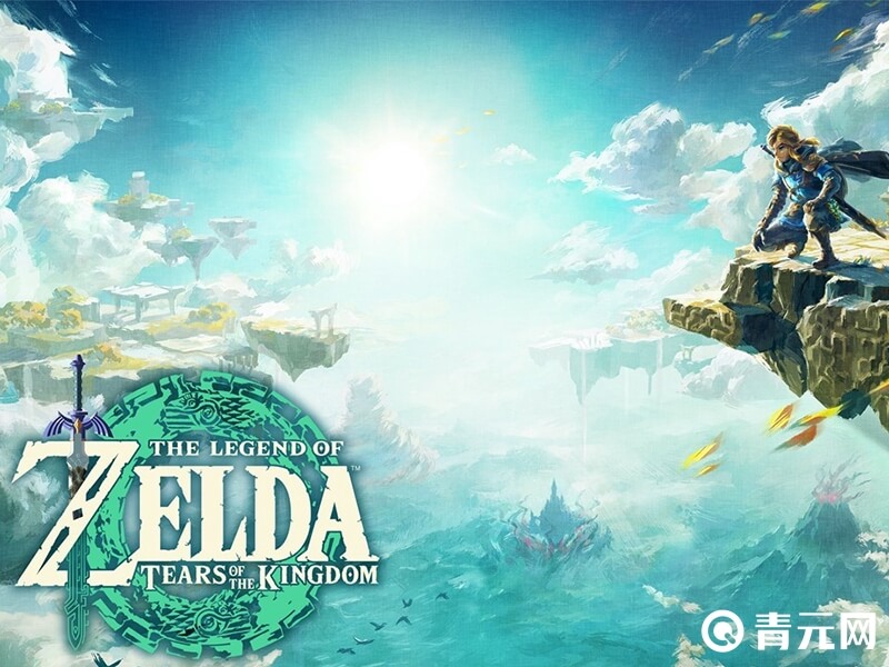 国行switch游戏库