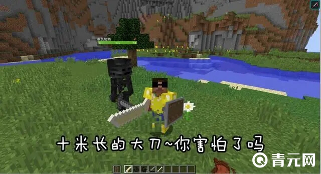 凋零骷髅头爆率
