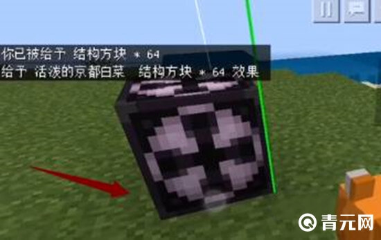 我的世界结构方块摆放图