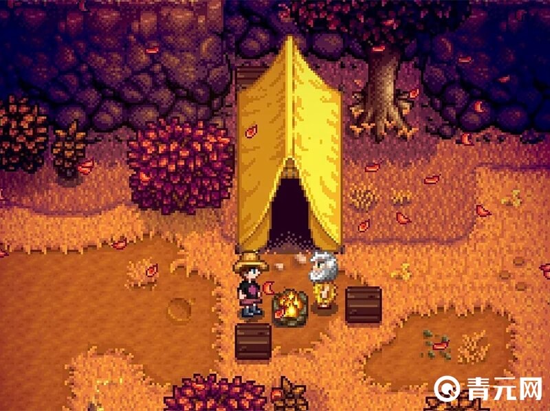 星露谷物语莱纳斯位置