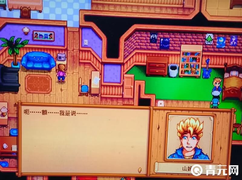 星露谷物语山姆的家