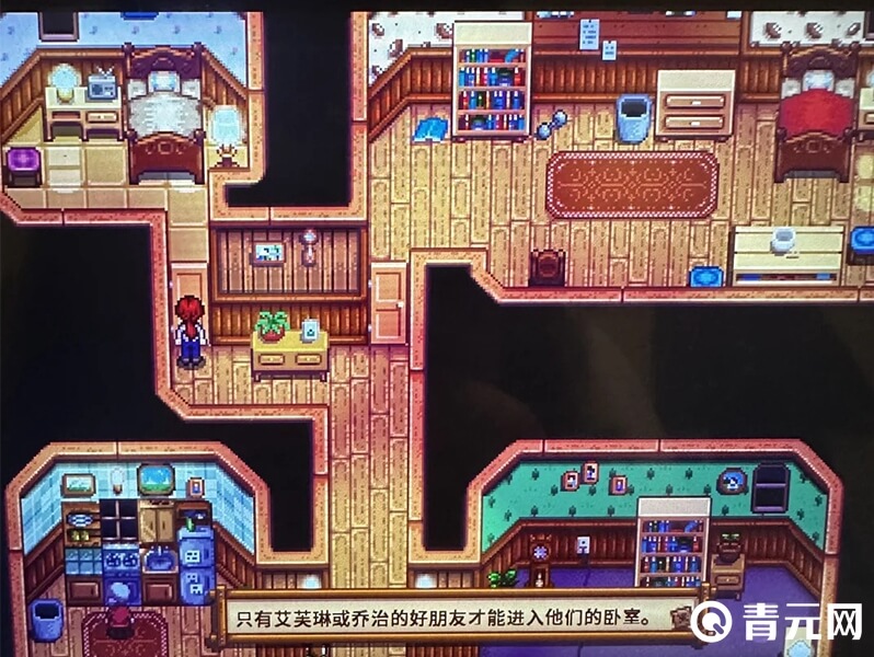 星露谷物语乔迪的家