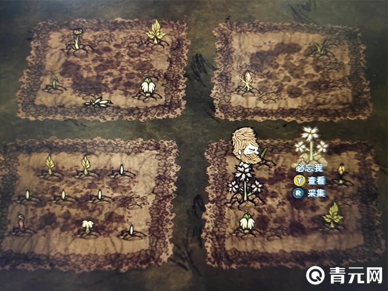 饥荒必忘我正确吃法