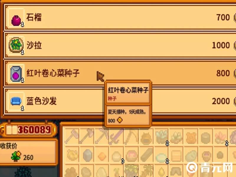 猪车出售的红叶卷心菜种子