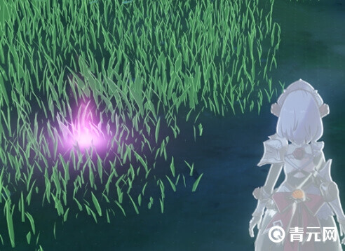 诺艾尔元素视野