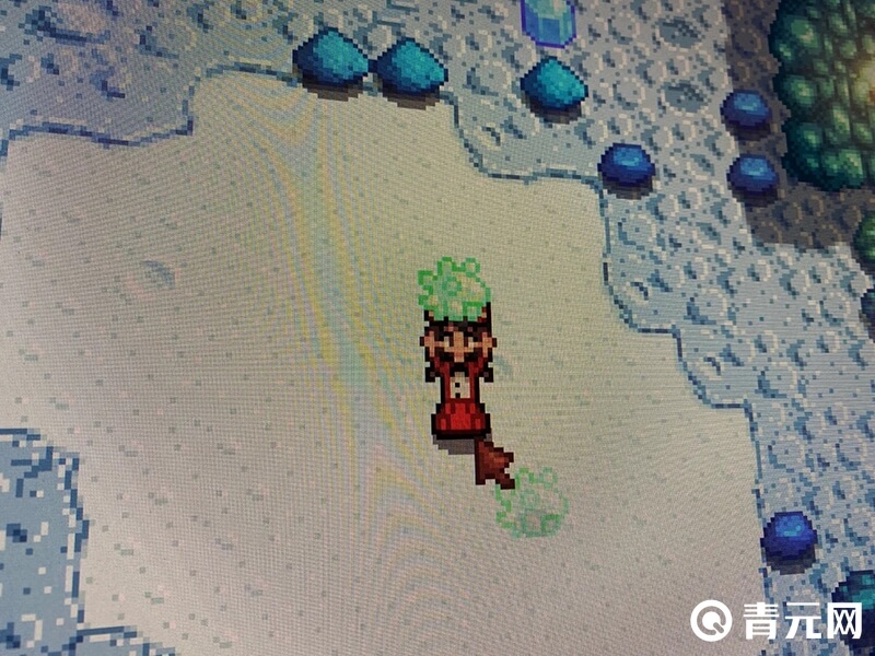 星露谷物语灵外质