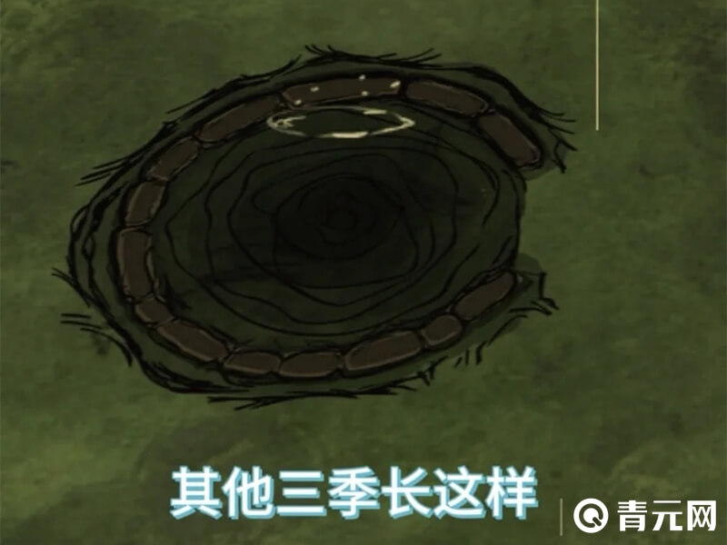 饥荒海象巢的模样