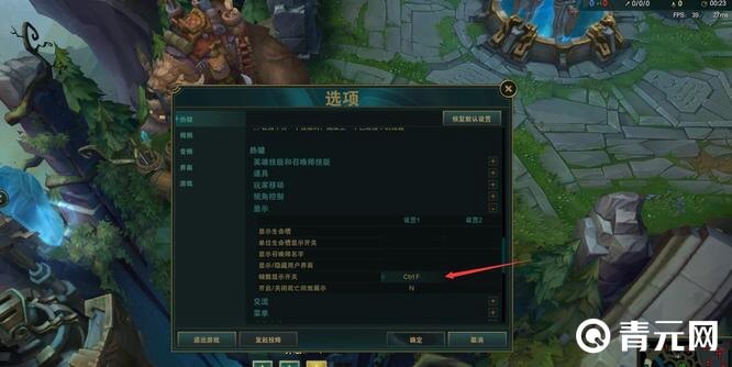 设置FPS显示