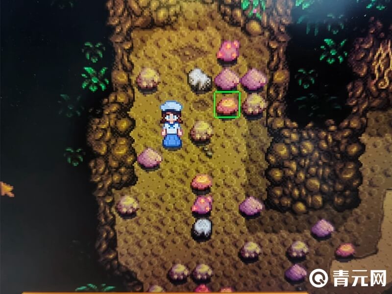 星露谷物语地晶分布层
