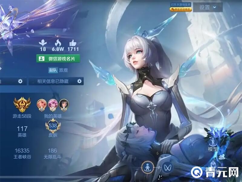 王者荣耀达到贵族5