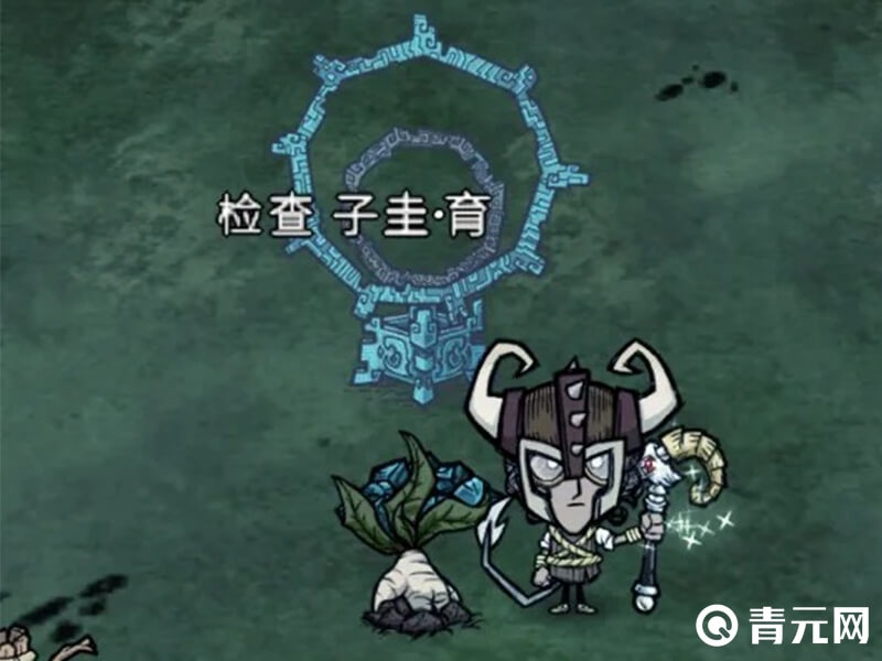 饥荒子圭育