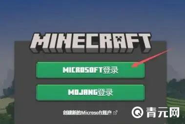 MICROSOFT登录