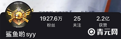 和平精英鲨鱼哟syy