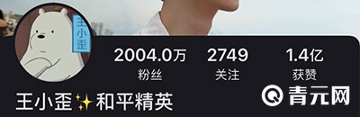 和平精英王小歪