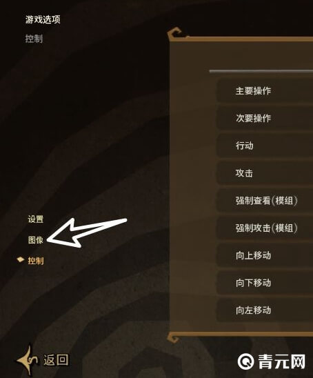 饥荒图像设置界面