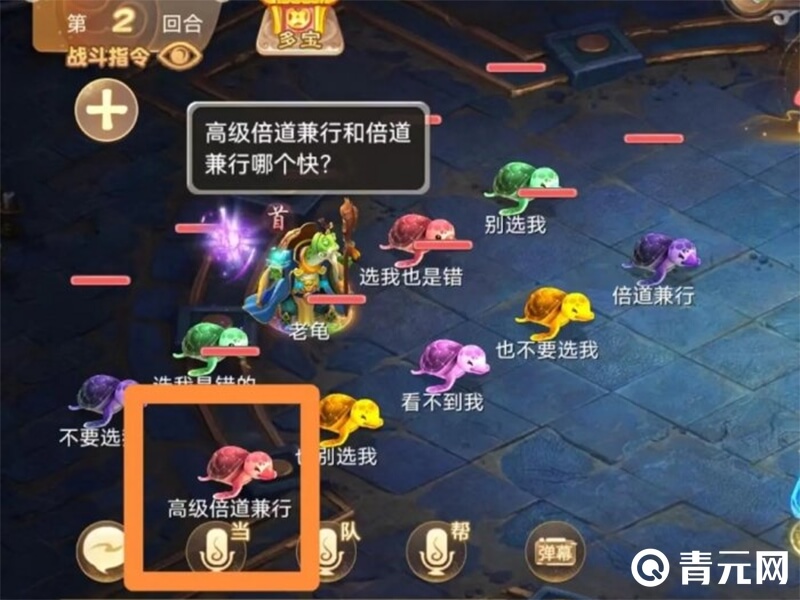 智斗老龟技能搭配