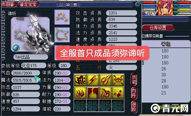 梦幻西游观照万象