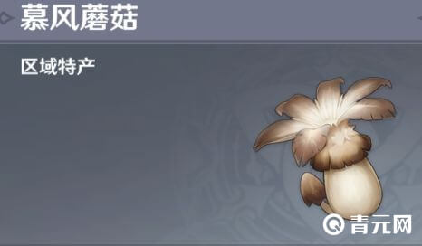 慕风蘑菇