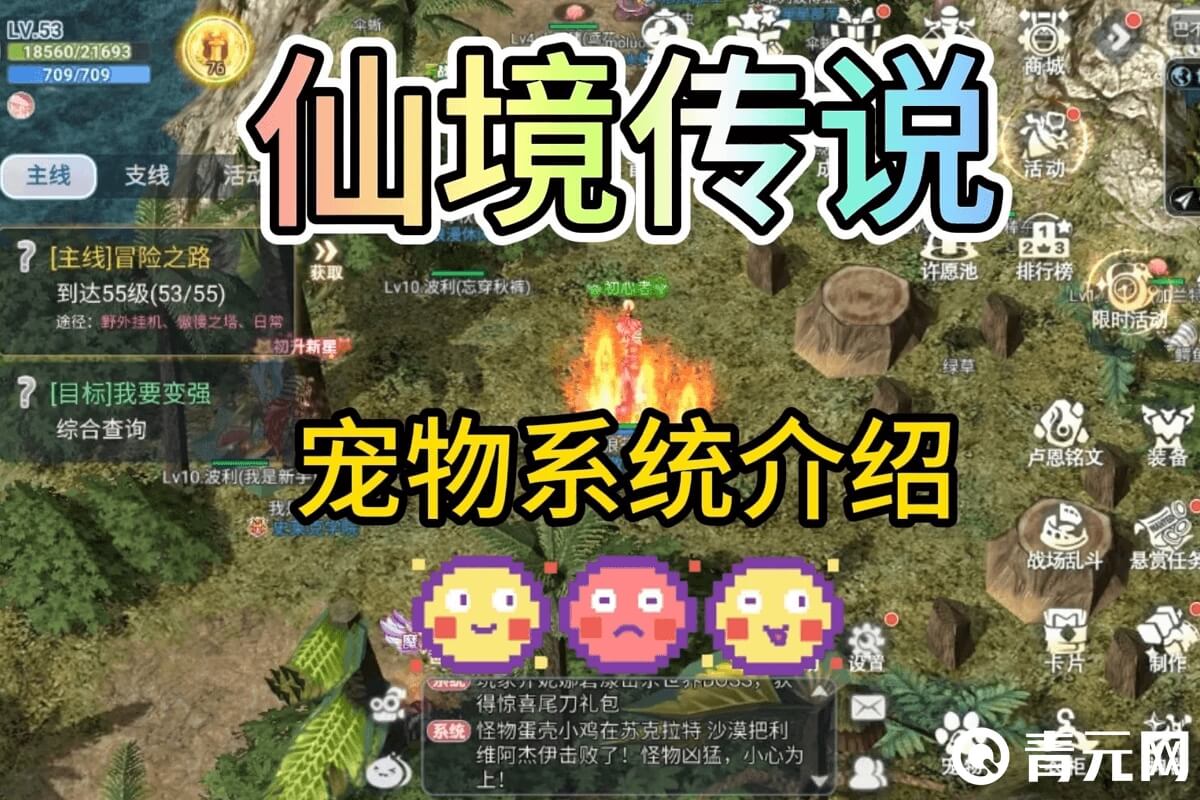 仙境传说RO宠物系统介绍